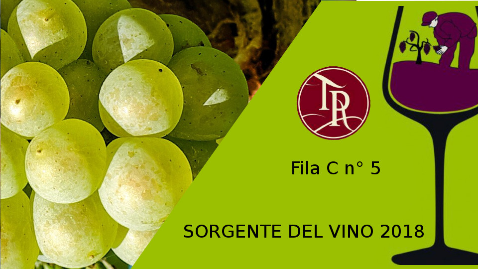 Sorgente del vino 2018