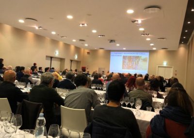 Cabernet dei Colli Bolognesi